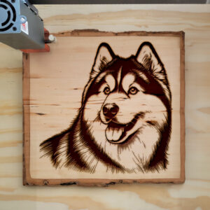 221495_wood-laser-1.jpg