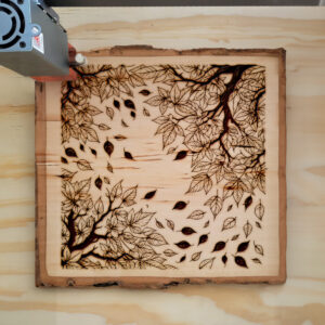 221517_wood-laser-1.jpg