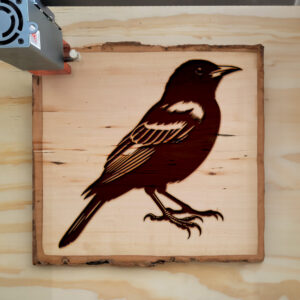 221586_wood-laser-1.jpg