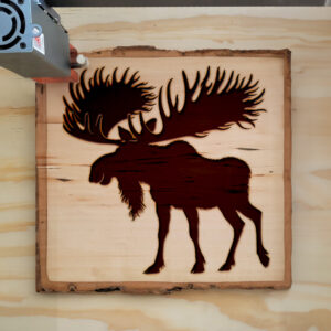 221599_wood-laser-1.jpg