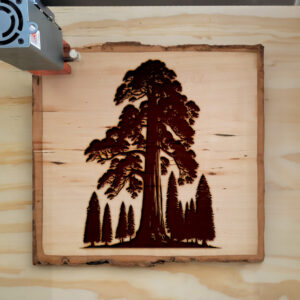 221605_wood-laser-1.jpg