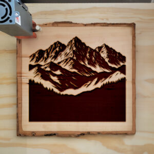 221609_wood-laser-1.jpg