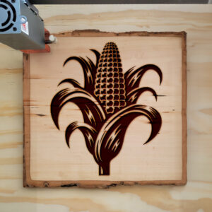 221631_wood-laser-1.jpg