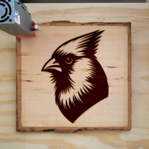 221634_wood-laser-1.jpg