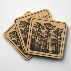 221747_coaster-1.jpg