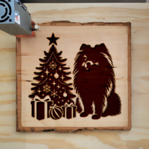221764_wood-laser-1.jpg