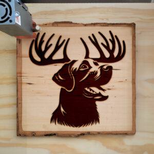 221768_wood-laser-1.jpg