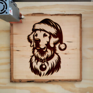 221782_wood-laser-1.jpg