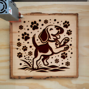 221794_wood-laser-1.jpg