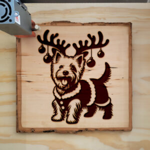223029_wood-laser-1.jpg