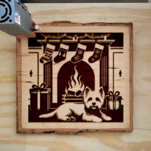223031_wood-laser-1.jpg