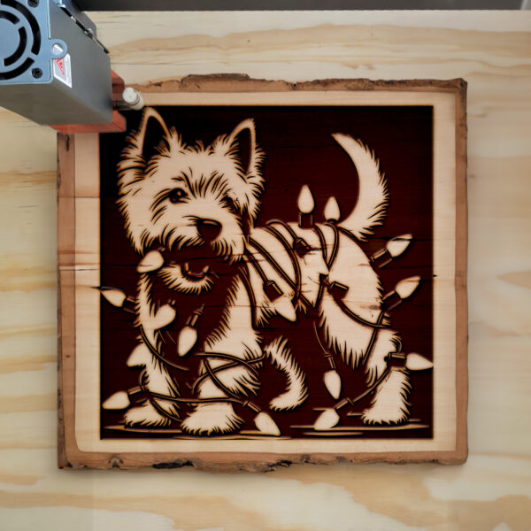 223040_wood-laser-1.jpg