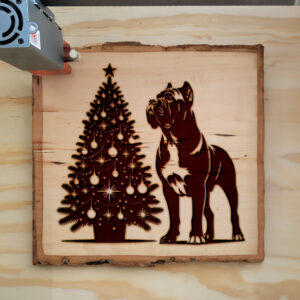 223064_wood-laser-1.jpg