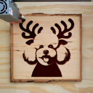 223070_wood-laser-1.jpg