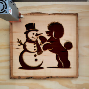 223074_wood-laser-1.jpg