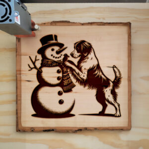 223092_wood-laser-1.jpg