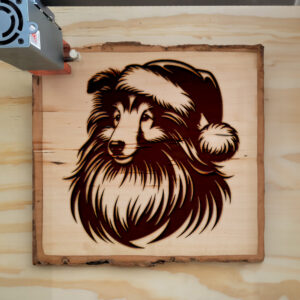 223102_wood-laser-1.jpg