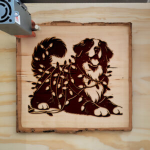 223173_wood-laser-1.jpg