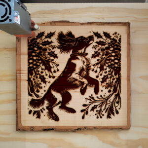 223204_wood-laser-1.jpg