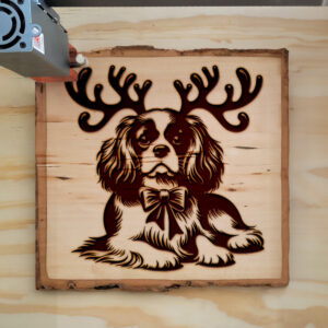 223231_wood-laser-1.jpg