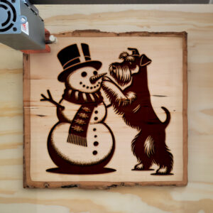 223302_wood-laser-1.jpg