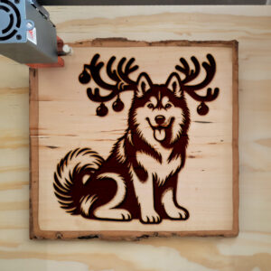 223382_wood-laser-1.jpg
