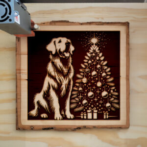 223511_wood-laser-1-1.jpg
