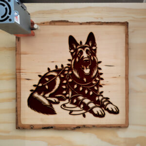 223517_wood-laser-1.jpg