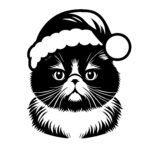 Exotic Shorthair Santa Cat