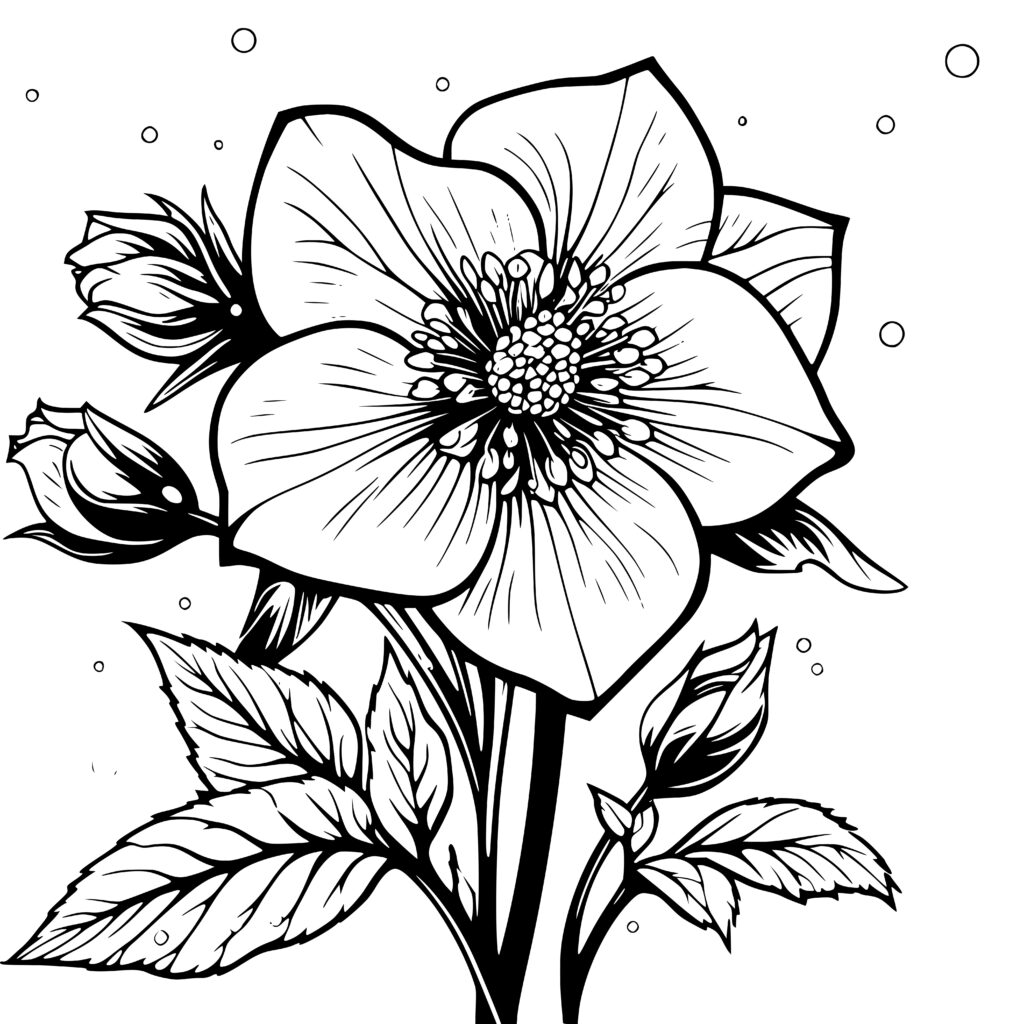 Hibiscus Flower Svg File Perfect For Cricut Silhouett - vrogue.co