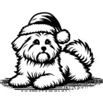 Christmas Maltese