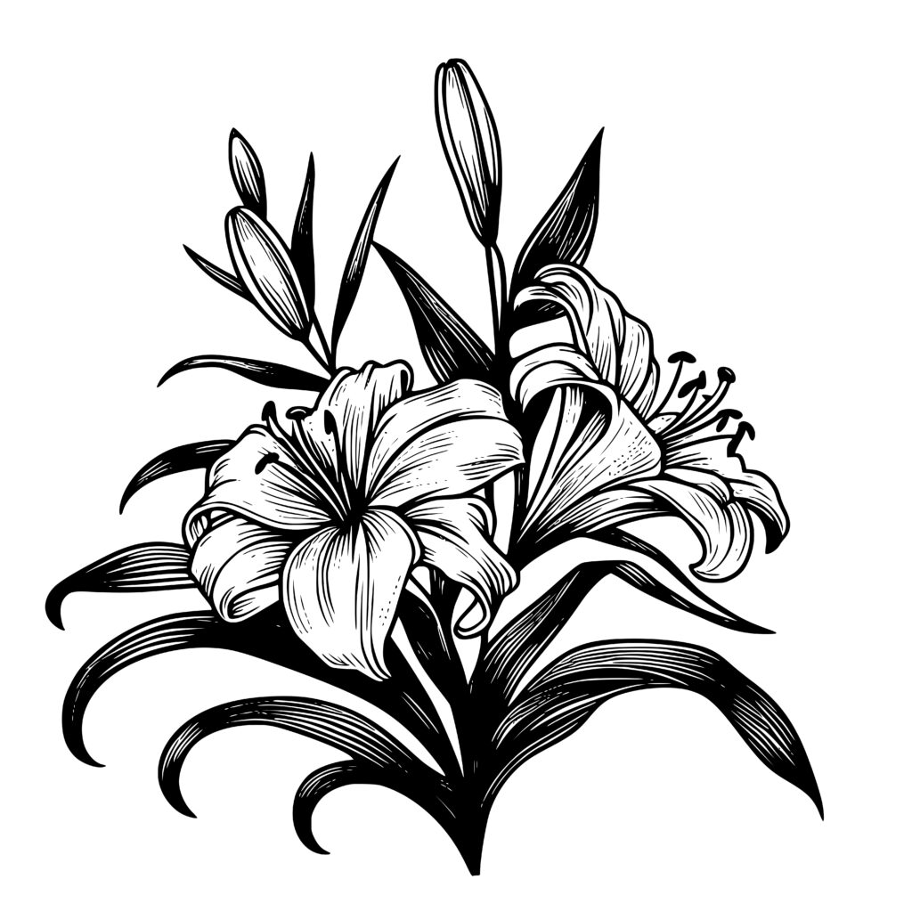 Luminous Lily Bloom Design SVG, PNG, DXF for Cricut & More