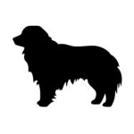 Australian Shepherd Silhouette