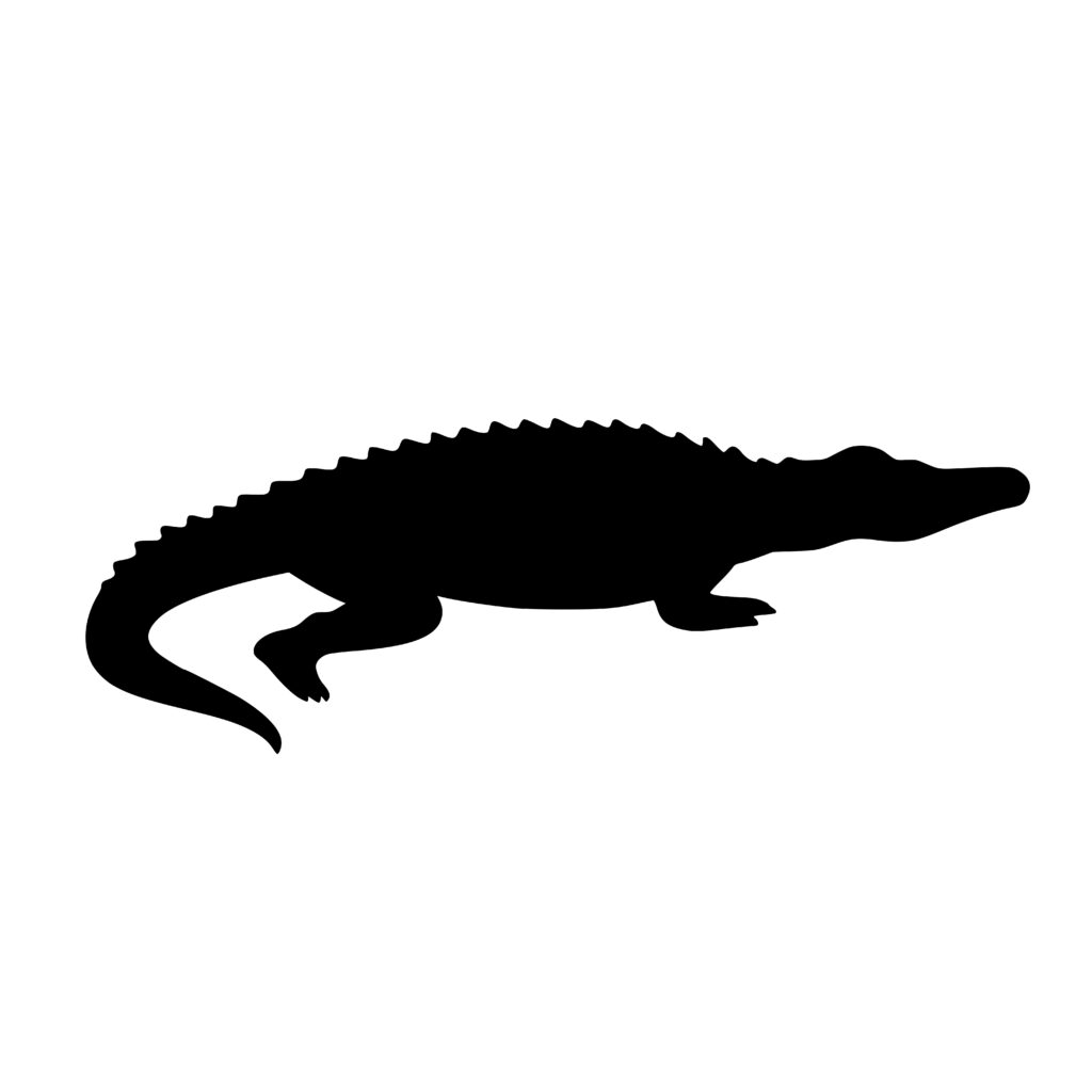 Crocodile Silhouette SVG, PNG, DXF File for Cricut Users