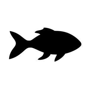 Fish Silhouette