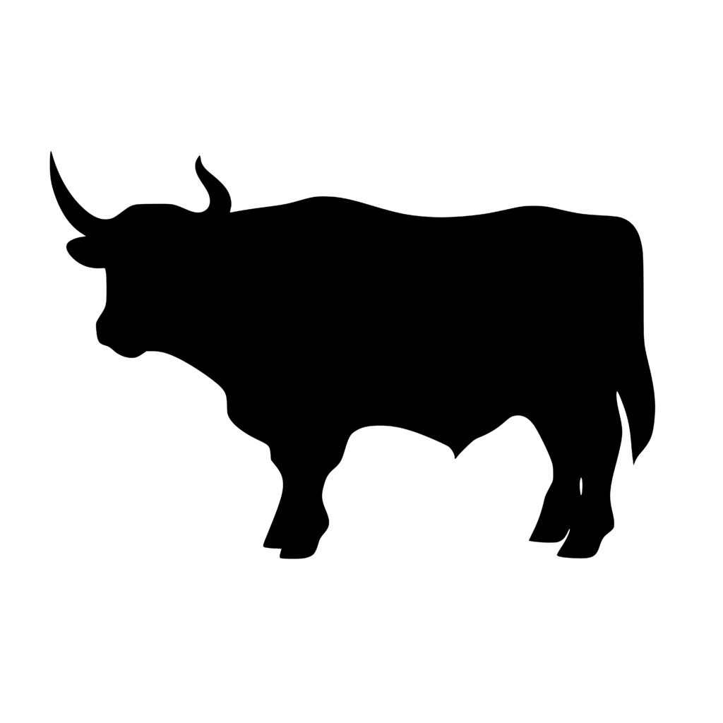 Highland Cow Silhouette SVG, PNG, DXF for Cricut & More”