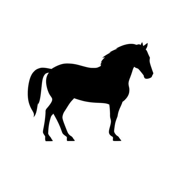 Horse Silhouette SVG File for Cricut, Laser, Silhouette, Cameo