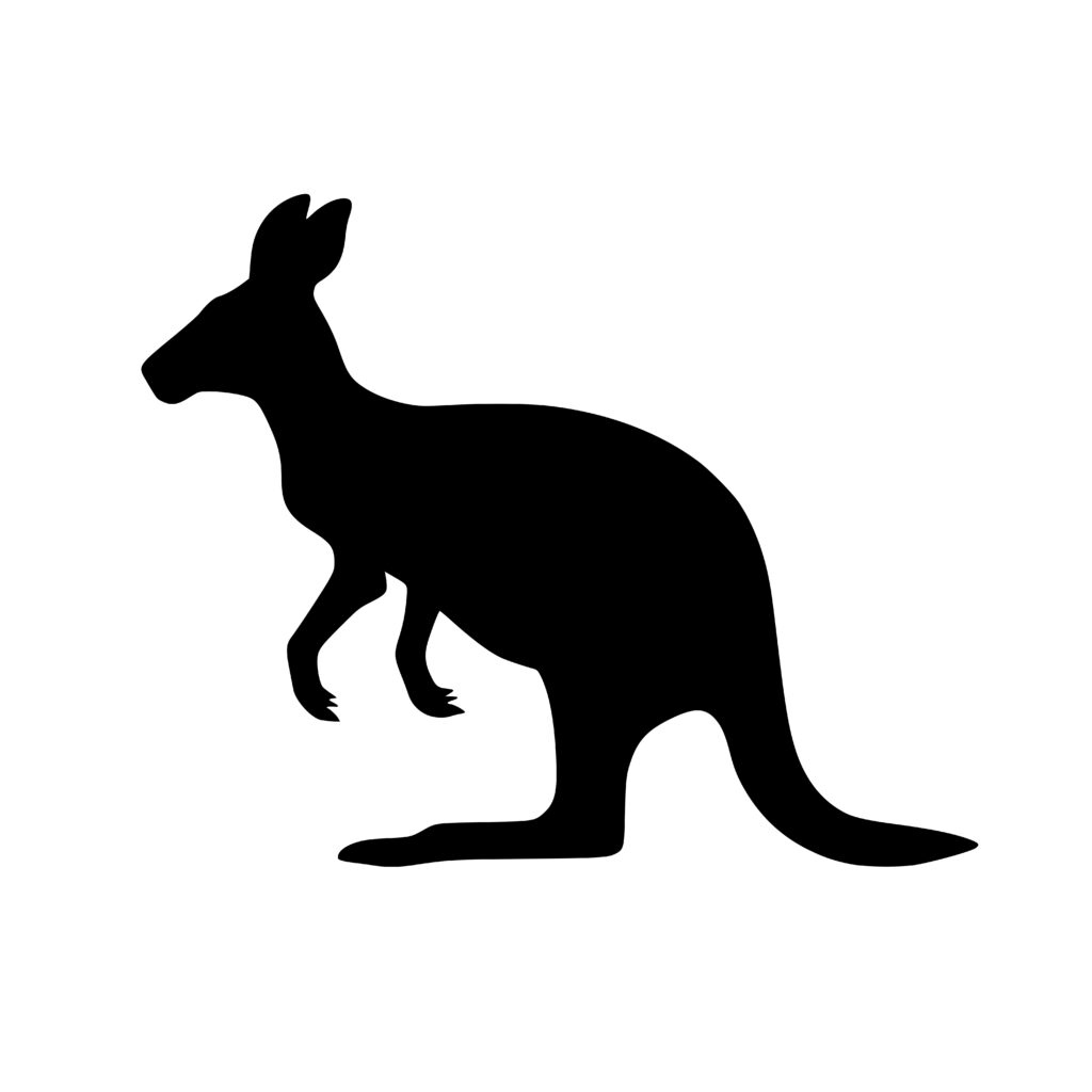 Kangaroo Silhouette Design - SVG, PNG, DXF for Cricut & Laser