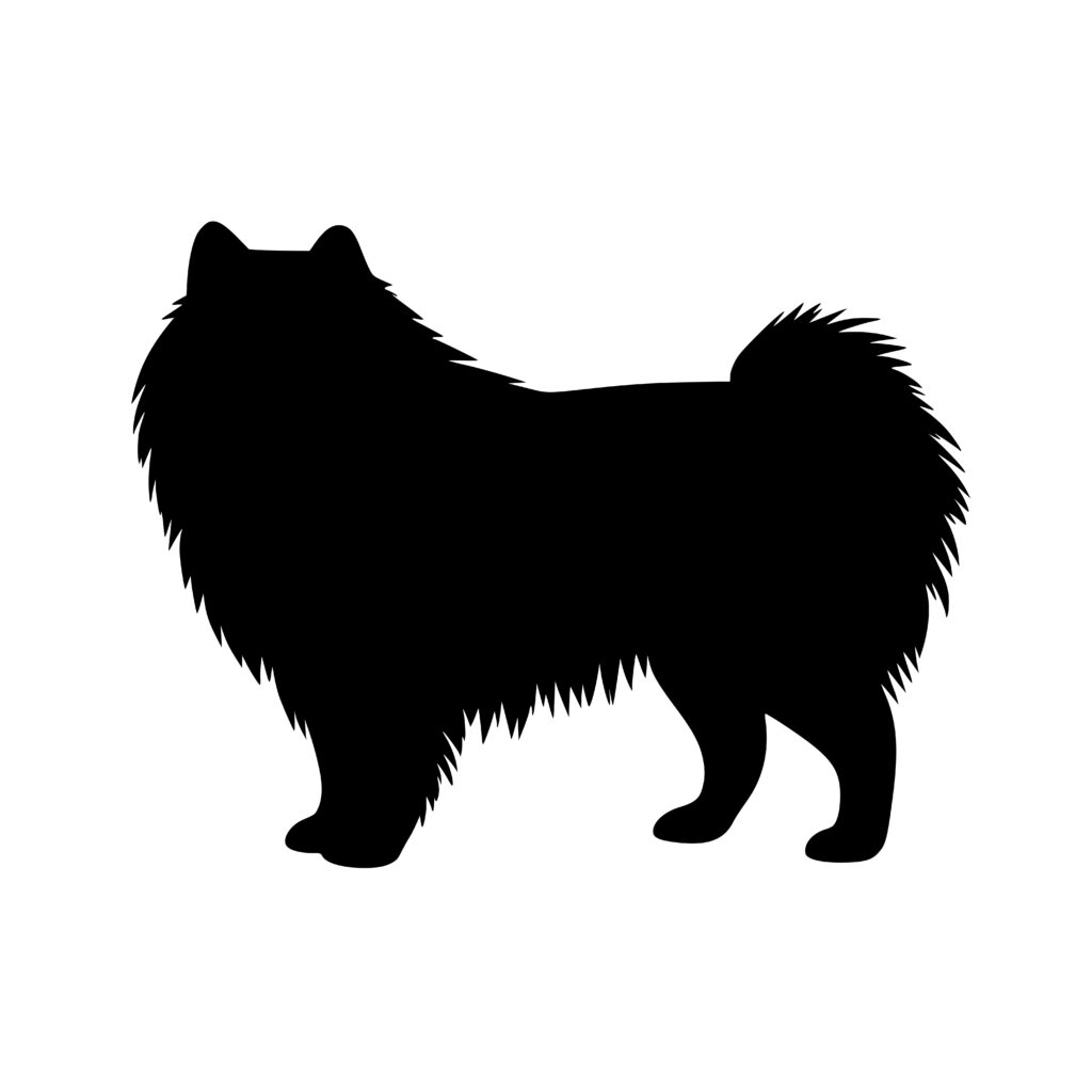 Fluffy Keeshond Dog SVG File for Cricut & Silhouette