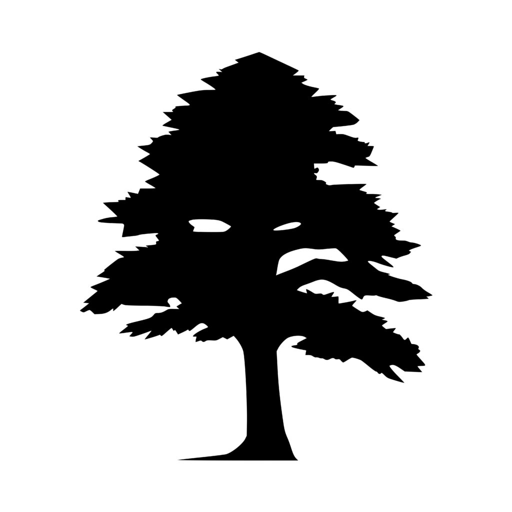 verdant-canopy-tree-design-for-cricut-silhouette-glowforge-svg-png