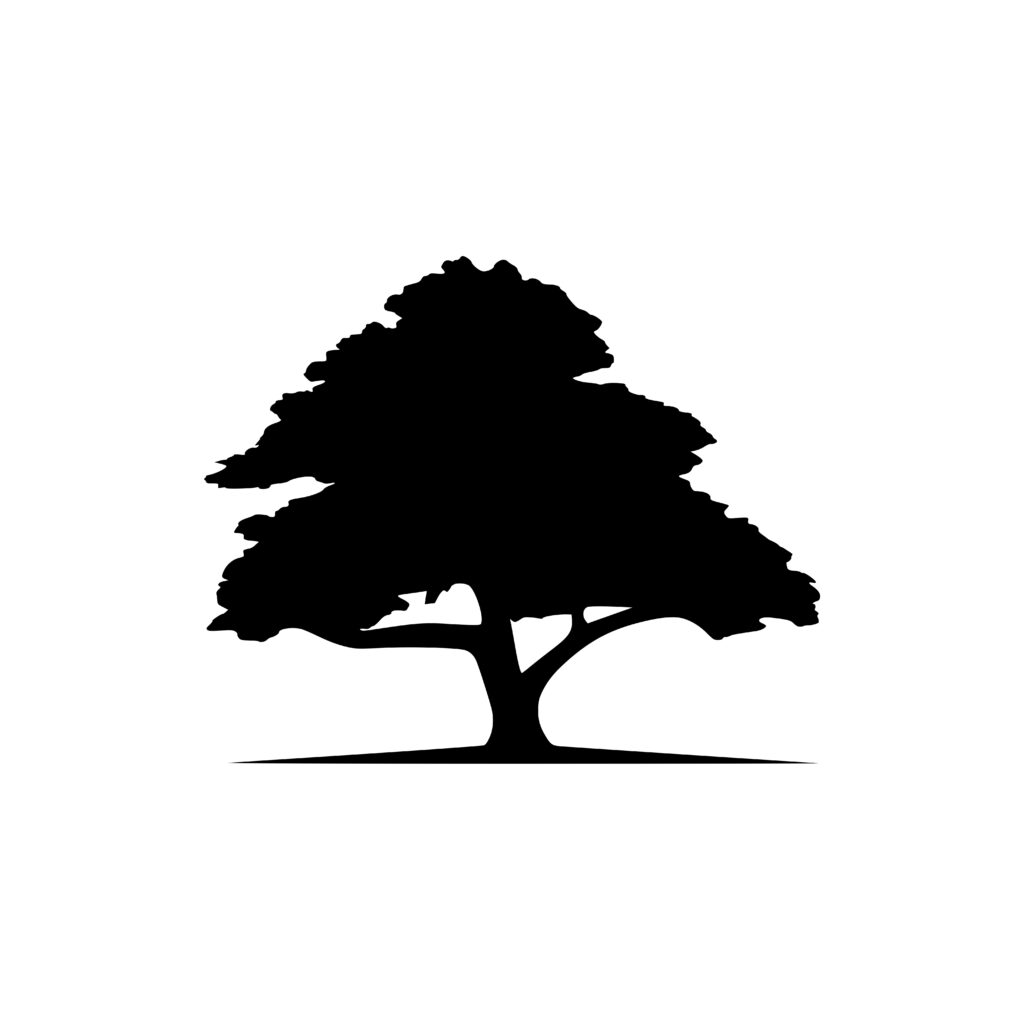 Big Tree Silhouette Design for Cricut, Laser, and Vinyl Projects