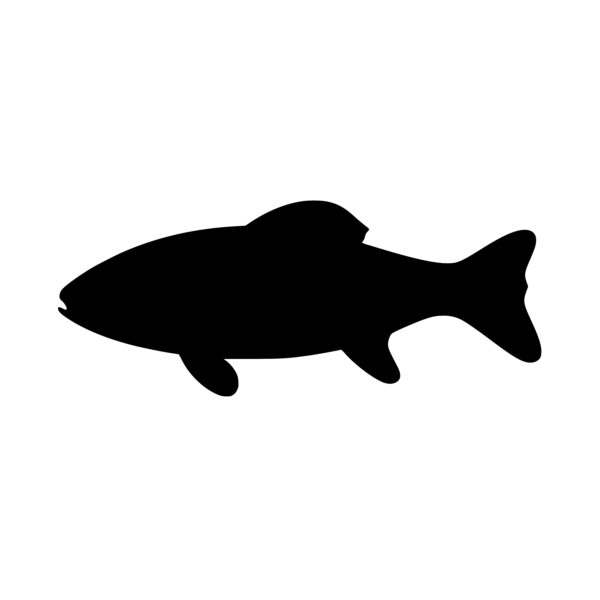 Fish Silhouette SVG File for Cricut, Laser, Silhouette, Cameo