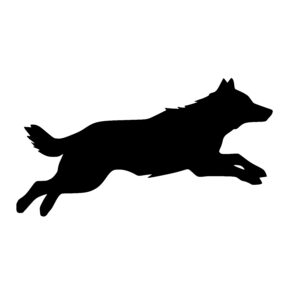 Leaping Wolf
