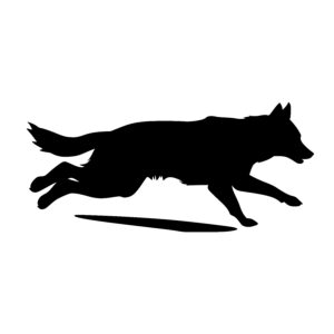 Running Wolf