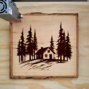 172469_wood-laser-1.jpg
