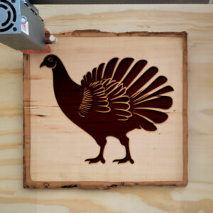 172529_wood-laser-1.jpg