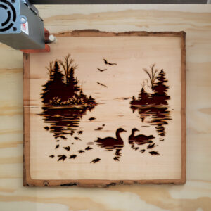 172562_wood-laser-1.jpg