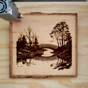 172570_wood-laser-1.jpg