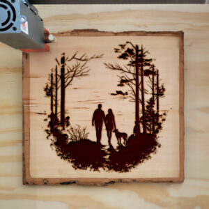 172574_wood-laser-1.jpg