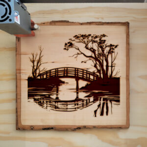 172578_wood-laser-1.jpg